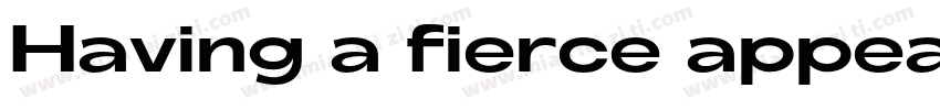 Having a fierce appearance字体转换